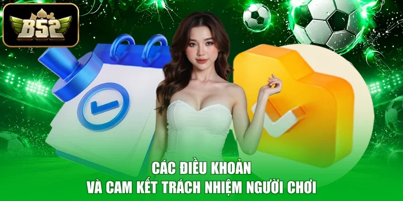 Các điều khoản và cam kết trách nhiệm người chơi